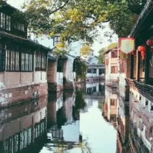 破碎的动物图形2